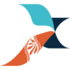 Nexus Airlines